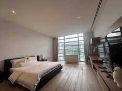 Nassim Park Residences (D10), Condominium #476703061